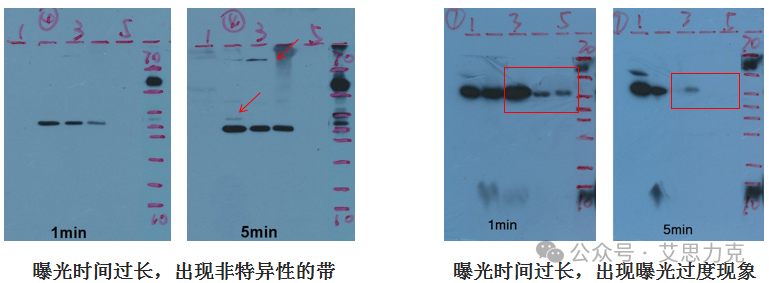 微信圖片_2025-12-24_215147_389.png
